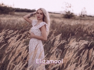 Elizamool