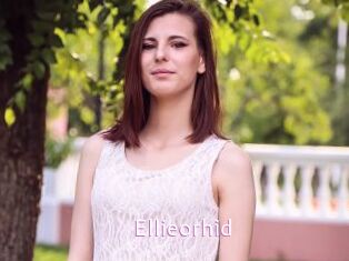 Ellieorhid