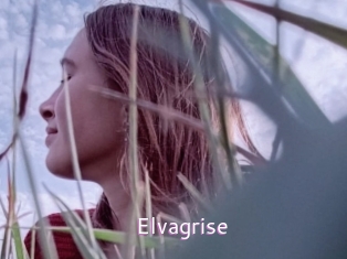 elvagrise Just Amateurs