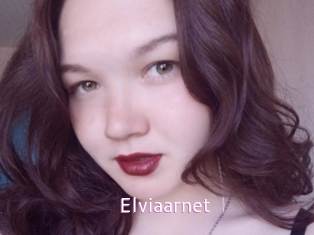 Elviaarnet