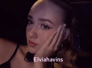 Elviahavins