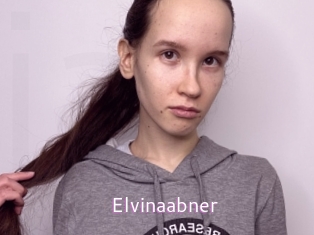 Elvinaabner