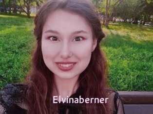 Elvinaberner