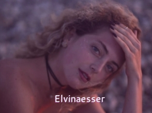 Elvinaesser