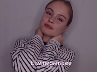 Elwinegambee