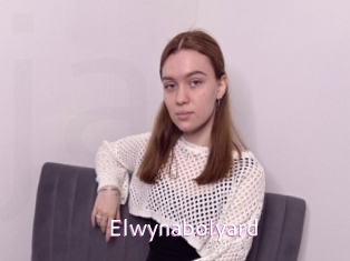 Elwynabolyard