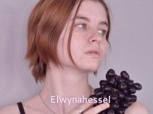 elwynahessel Just Amateurs