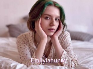 Emilylabunny