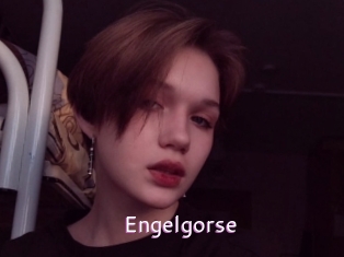 Engelgorse