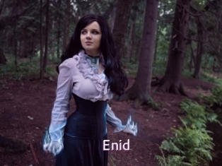 enid Just Amateurs