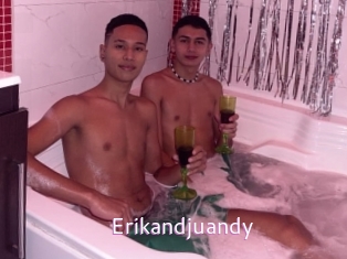 Erikandjuandy