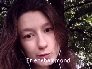 Erlenehammond