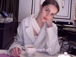 Erlenehatt