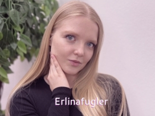 Erlinafugler