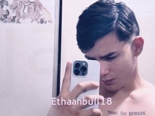 ethaanbull18 Just Amateurs