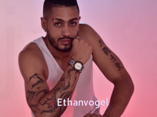 ethanvogel Just Amateurs
