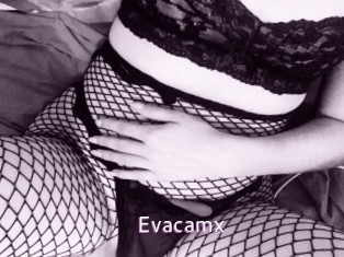 evacamx Just Amateurs