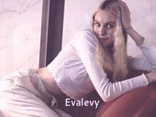 Evalevy