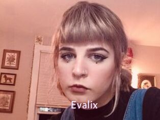 evalix Just Amateurs