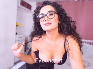 Evelinecat