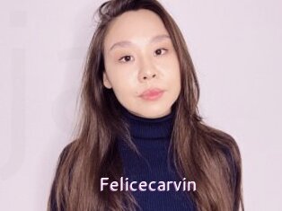 Felicecarvin
