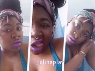 Felineplay