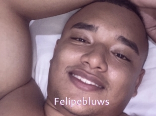 Felipebluws
