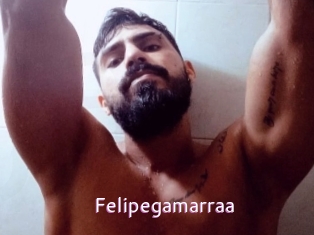 Felipegamarraa