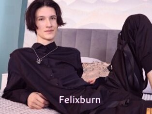 Felixburn