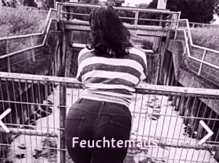 Feuchtemaus