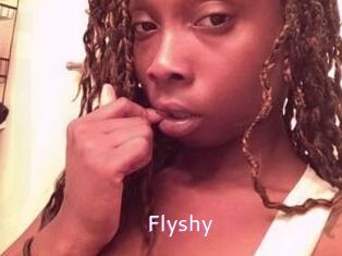 Flyshy
