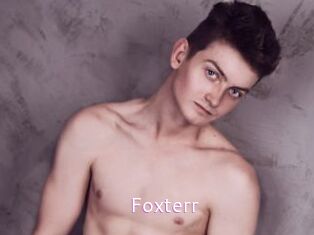 Foxterr