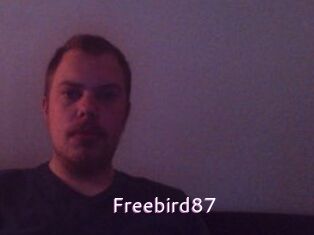 freebird87 Just Amateurs