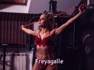 Freyagalle