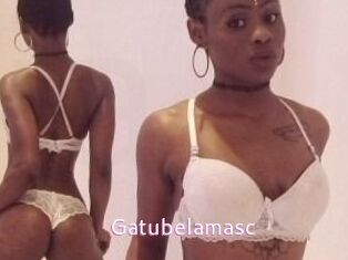 Gatubela_masc