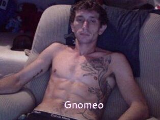 Gnomeo Just Amateurs