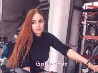GoldenFox Just Amateurs