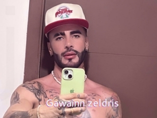Gawainn_zeldris