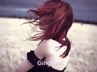 Gingercat