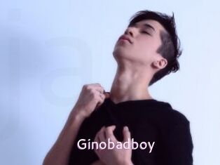 Ginobadboy