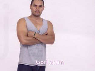Gorilacum