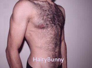 HairyBunny