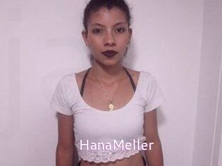 HanaMeller