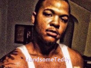 HandsomeTeddy