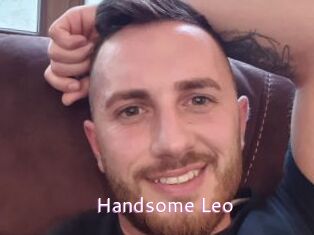 Handsome_Leo