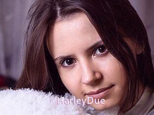 Harley_Due