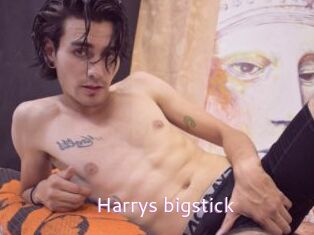 Harrys_bigstick