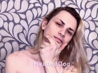 HauntedDog