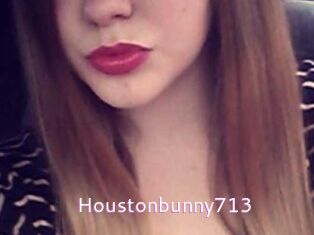 Houstonbunny713