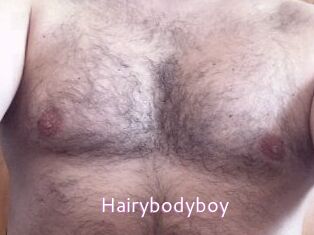 Hairybodyboy